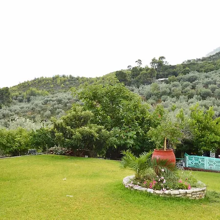 Elpida 3*